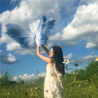 塔兰图拉毒蛛